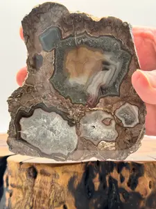New Mexico Agate