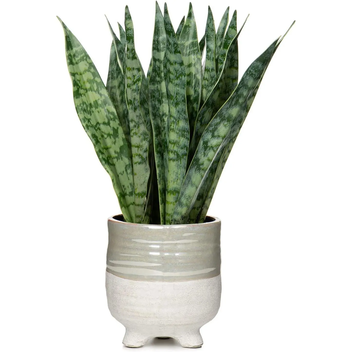 Snake  12 Inch Small Artificial Snake  Potted with Ceramic Pot Faux Sansevieria  for  Office Room Indoor Decor Housewarming Gifts