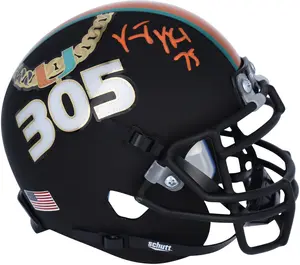 Vince Wilfork Miami Hurricanes Autographed Schutt Turnover Chain Tradition Alternate Mini Helmet - Fanatics Authentic Certified