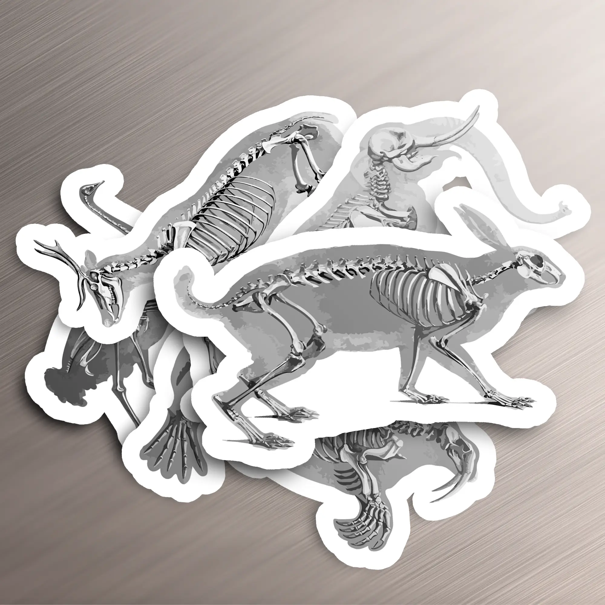 5 Pack Animal Bones Sticker