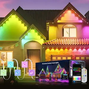 FLOWGO Eaves Light with 30/60 LEDS, RGB Outdoor Lighting, Permanent Outdoor Lights, Holiday Decorations for Party, Music Rhythm Sync, Remote Control & Bluetooth APP Link, IP67 Waterproof, 50/100 Feet Long, Ideal for Christmas Decor