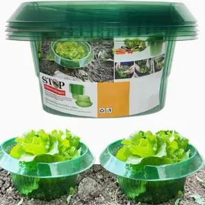 Slug Collars for Plants, Planter Slug Collar to Protect Plants from Snail, Garden Cloches, Protect Against Snails without Chemical Agents, Allowing Plants to Grow Better (10PCS)