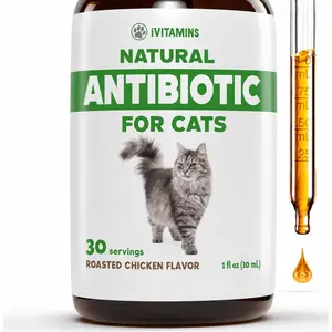 Cat Antibiotic for Infections, UTIs, Cold & Allergies, For Cats of All Ages & Breeds, Chicken Flavor 1 fl oz
