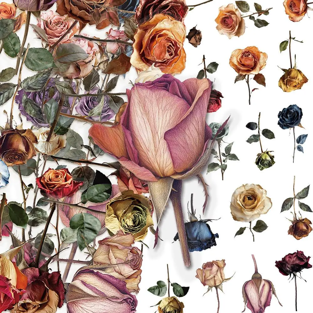 Dried Rose Series Sticker, 50pcs/set Romantic Rose Sticker, Decorative Sticker for Scrapbook, Diary, Notebook, Water Bottle, Car Decals, Car Stickers, Graphic Decal
