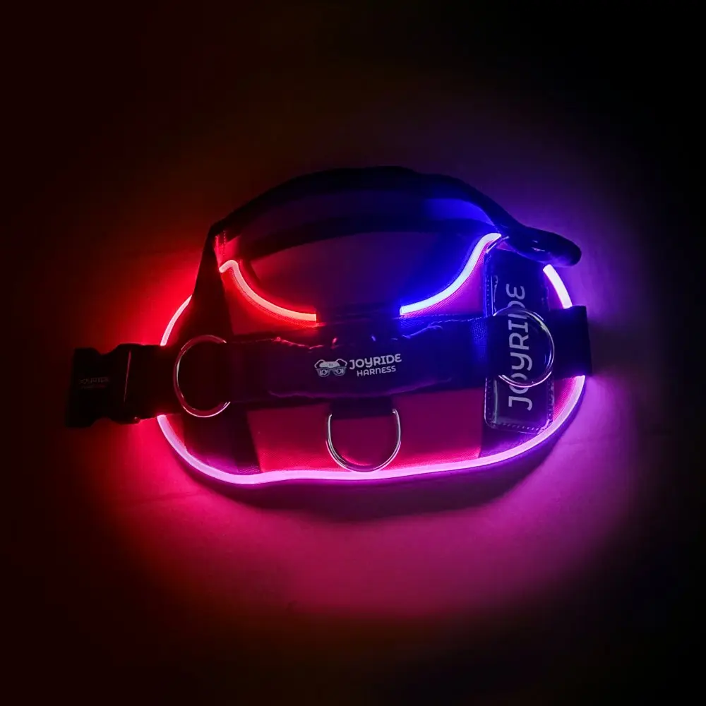 LED Light Up Dog Harness for Night Walks, USB Rechargeable Safety Harness, No Pull Reflective Pet Vest, Easy On & Off Design, Adjustable Fit, 13 Custom Name Tags Included, High Visibility for Small Medium Large Dogs | Joyride Dogs