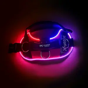 Joyride Harness 2.0 LED Light Up Dog Harness Night Safety With USB Charger Included - Ultra-Bright Rechargeable No-Pull Design with 13 Custom name tags included