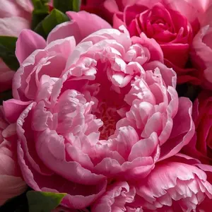 background preload poster image 