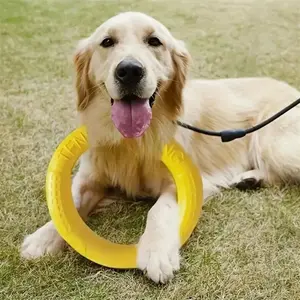 Interactive Dog Toy Flying Disk Ring Puller for Chewing & Training