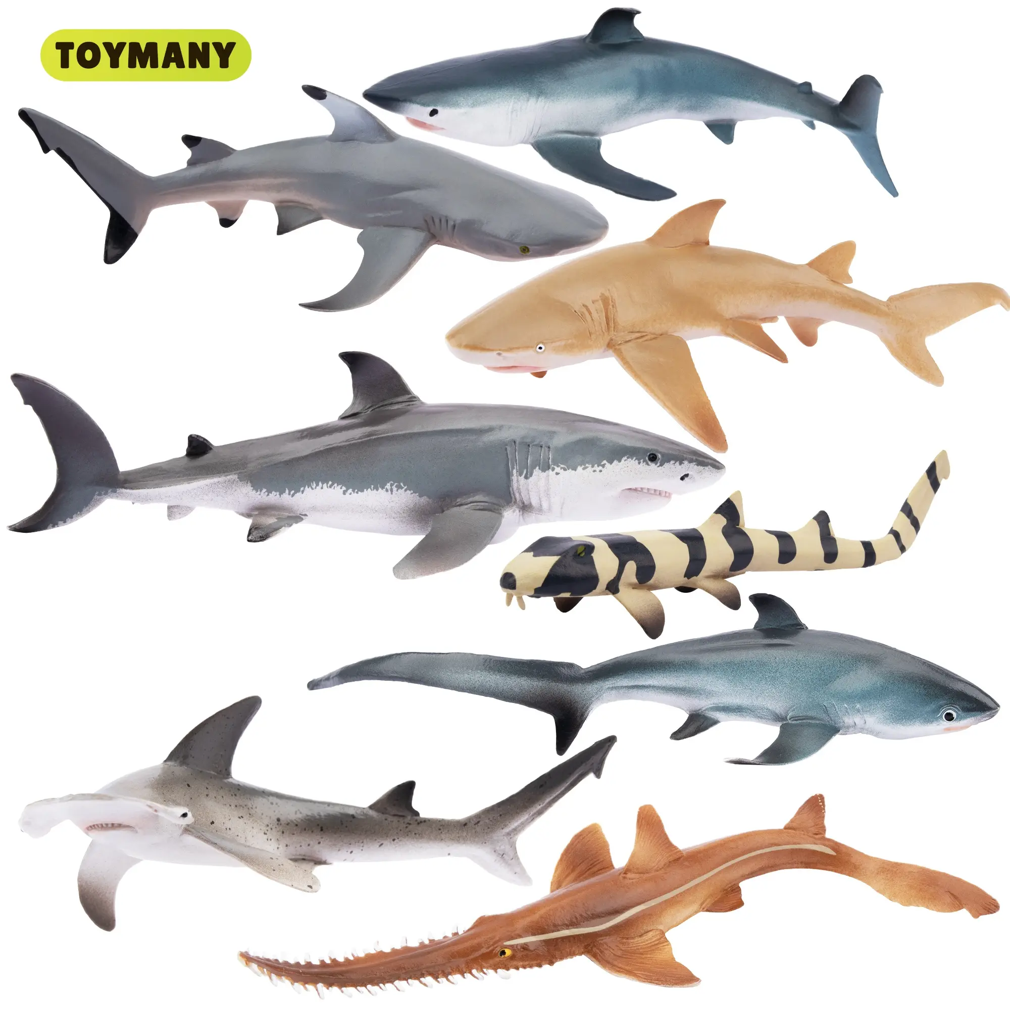 TOYMANY 8Pcs Shark Toy Figurines Action Figure Set, Realistic Educational Sea Creature Toys for Kids 3-5, 6-12, Ocean Animal Cake Toppers for Boys & Girls