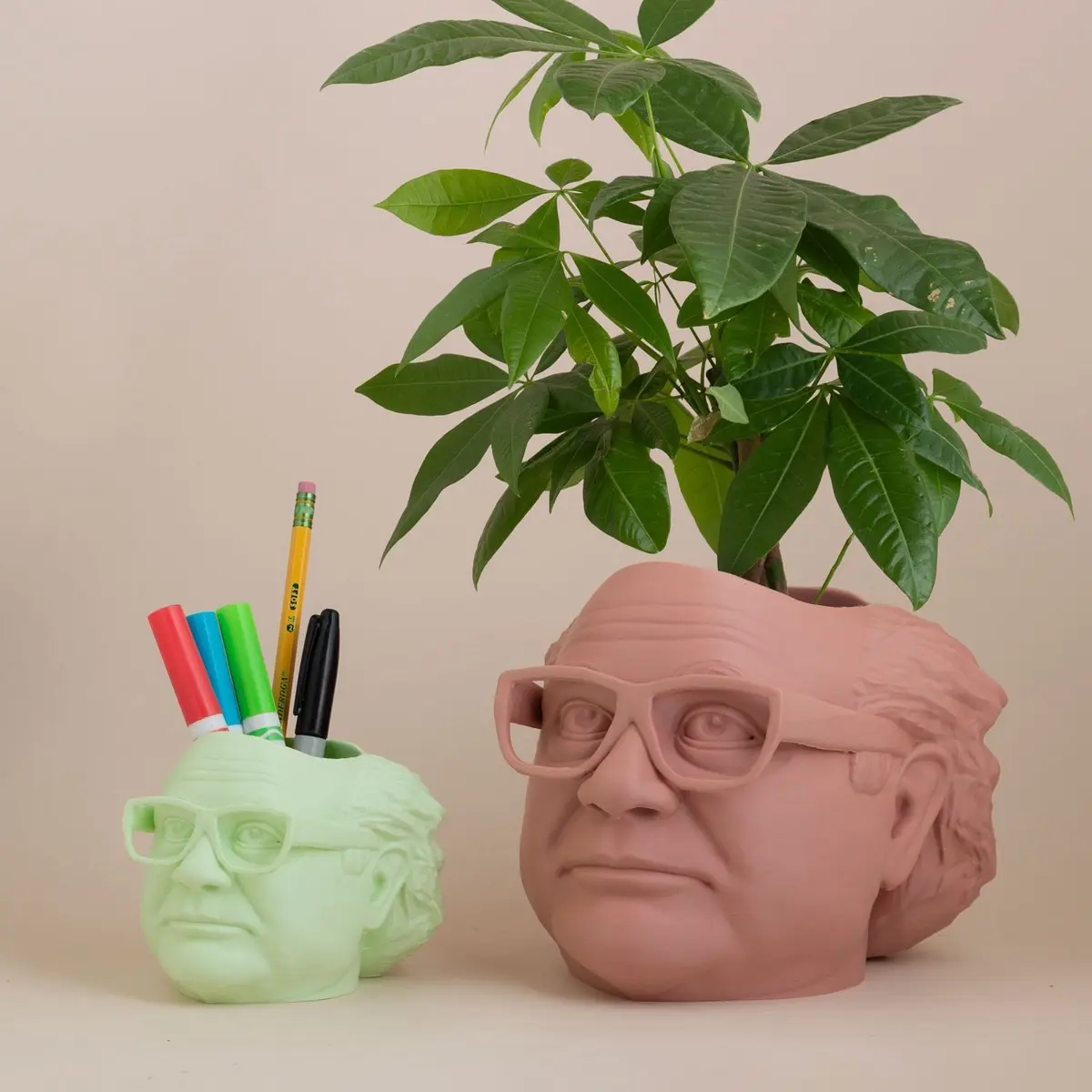 Danny Devito Frank Reynolds Planter Pot For House Plants and Succulents
