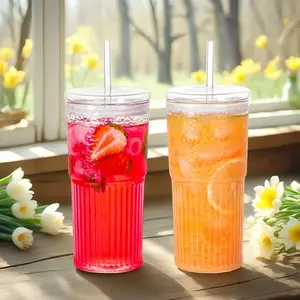 Glass Cups With Lids and Glass Straws 20 OZ High Borosilicate Glass Tumbler Iced Coffee Water Smoothie Bottle Drinkware Washable Reusable Portable Transparent Model Dishwasher Safe BPA-Free Bottled