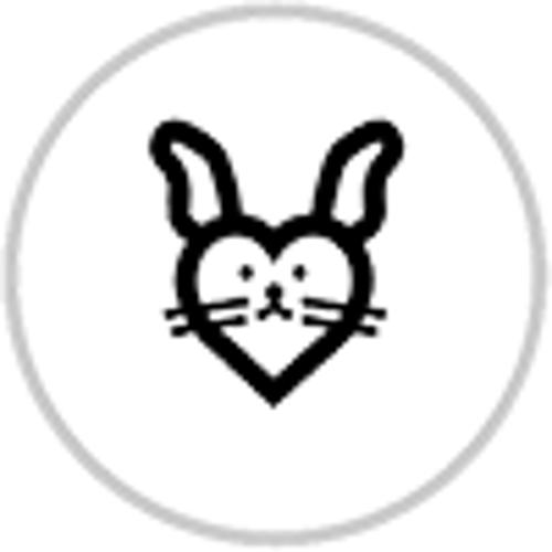 Major Sculpt Contour Duo & Dual-Ended Brush Set