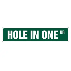 SignMission  Hole In One Aluminum Street Sign for Golfer Golf Clubs Balls Lover