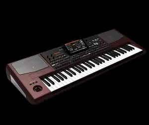 Korg Pa1000 61-Key Professional Arranger Organ for Musical Performance