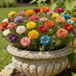 background preload poster image 