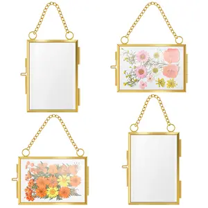 4Pcs Glass Pressed Flower Frames Hanging Pressed Flower Frames Beautiful Double Glass Pressed Flower Frame Minimalist Clear Pressed Flower Frame for Home Wall Decor