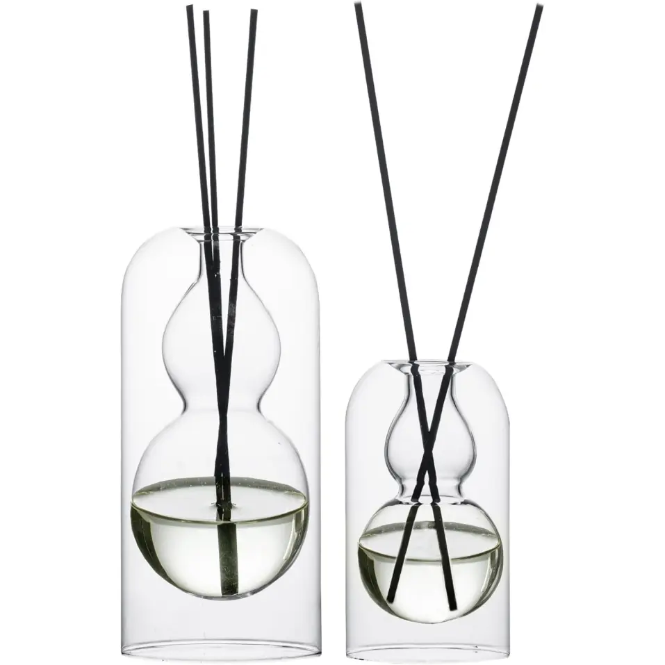 Empty Glass Fragrance Reed Diffuser Bottles,for Essential Oil, with 16pcs Black Reed Sticks,Minimalist Decor,2pcs/Set.