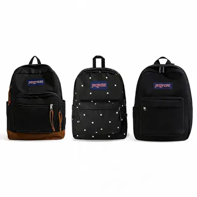 17 inch laptop briefcase backpack Polare 17