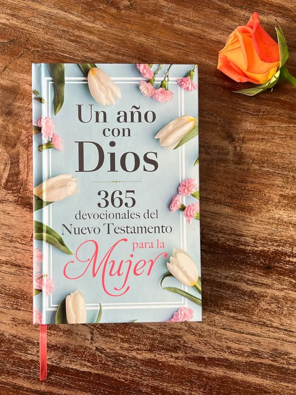 Un año con Dios: 365 devocionales del nuevo testamento para la mujer / A Year with God: 365 New Testament Devotionals for Women (Spanish Edition) Hardcover