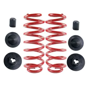 Rear Air Suspension to Coil Spring Conversion Kit For 2000-2006 BMW X5 E53 X6