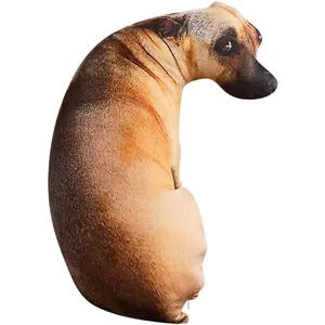 Pillow    Shaped Pillow, 19.7" Funny Shiba Inu Plush Pillow  Stuffed  Pillow Chair Cushion for  Decor