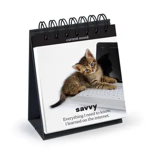 DAILY CATTITUDES DAILY CATTITUDES