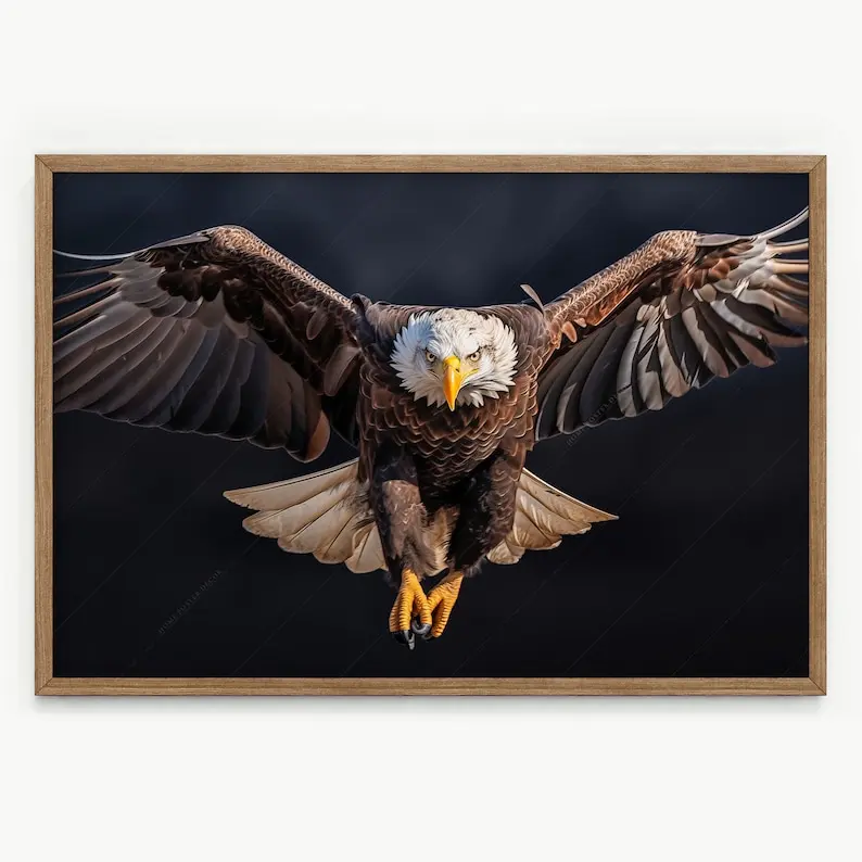 Bald Eagle poster Bird photography Wildlife shot Modern photo Nature art Gift idea Beautiful animal picture Wall art for living room Artistic Cotton Decor Print Artwork Matte Minimalist Ornaments Decoration posters