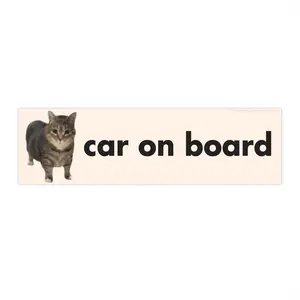 Car on Board | Cat Meme Car Magnet | Funny Cute Drive Safe Silly Kitty, Car Decal Decor Accessory