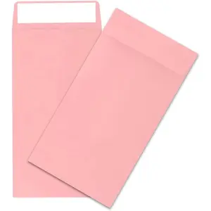 100pack  Saving Envelopes,3.5x6.5inch   Envelopes for , Key Envelopes for , Checks,  & Tickets()