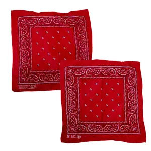 Vintage USA-Made Paisley Bandana