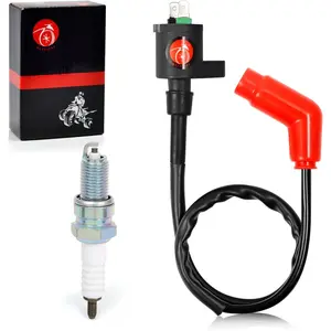 Ignition Coil Pack and spark plug For TRX250EX,RECON 250,TRX250TE,TRX250TM,TRX250X,Fourtrax 300,TRX300FW,TRX300 (1988-2018)