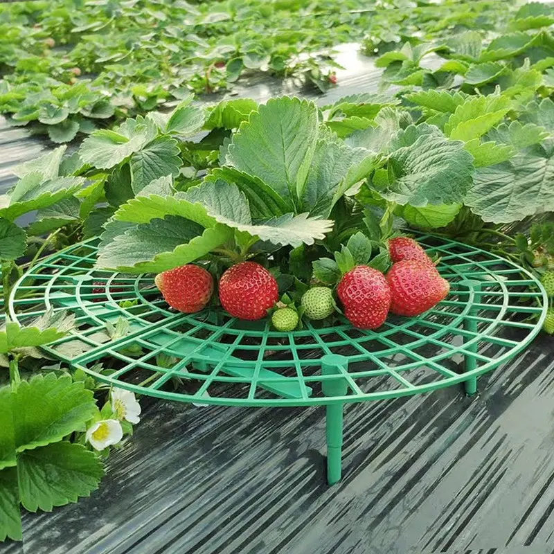20pcs Strawberry Plant Support, Large Size Strawberry Growing Racks, Strawberry Growing Frame, Keep Garden Strawberries Clean, Garden Supplies