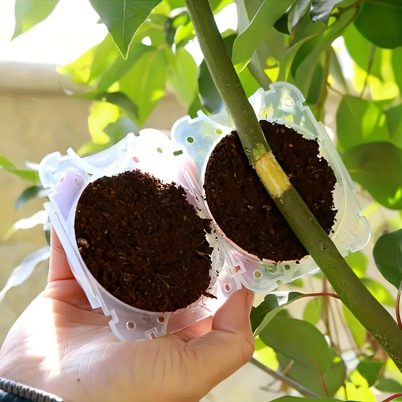 10-Piece Mini Plastic Plant Breeding Graft Box, Spherical Design with Airflow Holes, No Power, Clear Dome Cover, High Quality Plastic, Planting Kit, Grow Box, Planting Containers