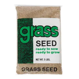 Barenbrug  Annual Ryegrass Grass Seed, 5 lbs