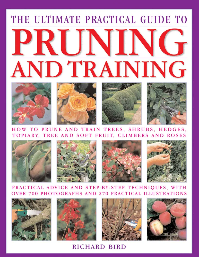 USED-The Ultimate Practical Guide to Pruning & Training: How to Prune and Train Trees, Shrubs, Hedges, Topiary, Tree and Soft Fruit, Climbers and Roses; Pr by Bird, Richard (Paperback)