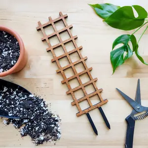 Ladder Indoor Houseplant Trellis (Wood)