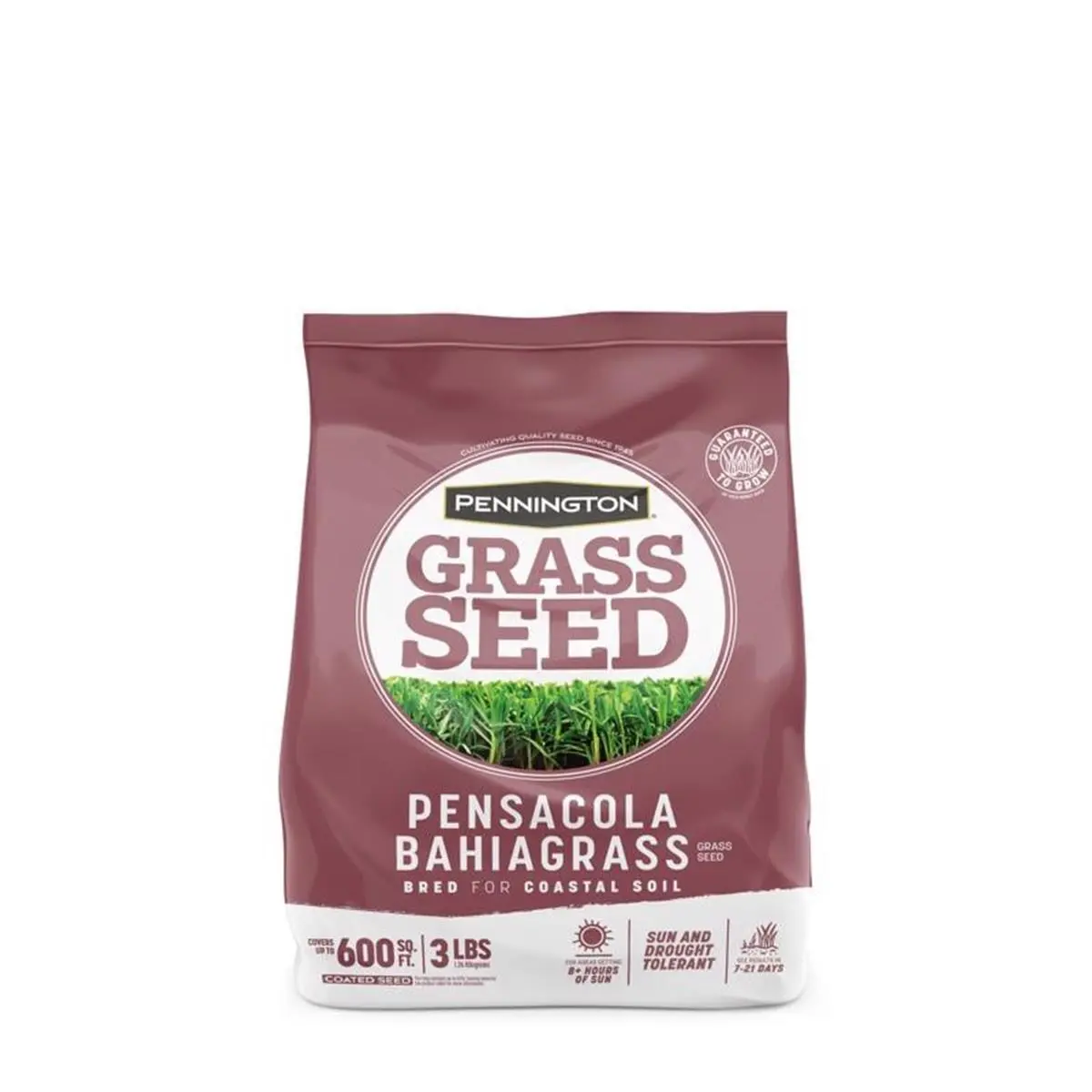 Pennington 7042906 Pensacola Bahiagrass Grass Seed - 3 lbs, Drought Tolerant, for Full Sun Lawn/Overseeding