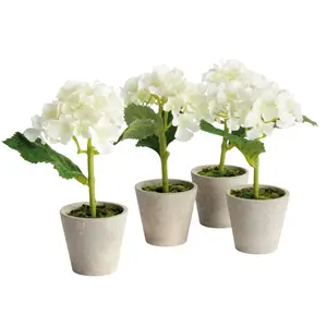 Mini Hydrangea Potted 8″ - Set of 4