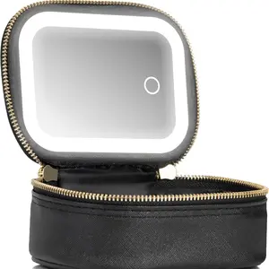 Portable Makeup Bag with LED Light and Mirror, Detachable Battery Powered Travel Makeup Case, Women's Multi-Functional Cosmetic Organizer