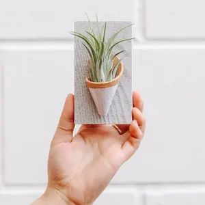 Tiny Ceramic and Wood Wall Planter