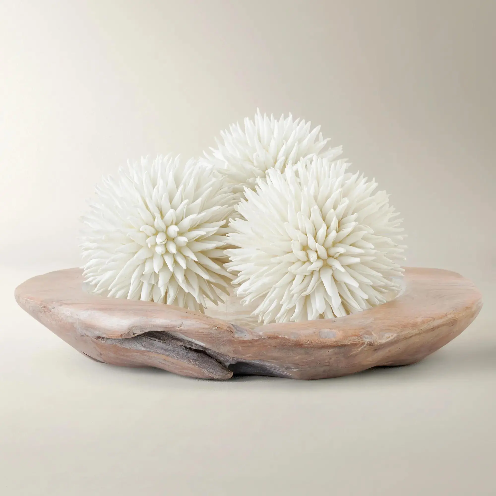 Z Gallerie 3-Piece Water-Free Faux Allium Sphere Decor Set - Green, Black, White Unique Modern Home Decor Sculptures, Room Accessories for Living Room, Allium Flower, Three Pieces