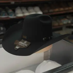 Tejana Negra - Minnick