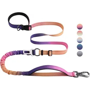 Leash for Walking Training with Car Seatbelt 4-6FT bungee  leashes Hands Free Dog Leash for Medium Large Dogs Heavy Duty  No Pull Bungee Dog Running Waist