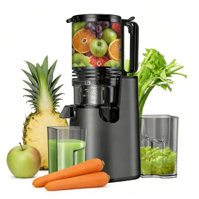 LQZ Cold Press Juicer with 5.4" Extra Large Feed Chute,Easy to Clean & Assemble,SohoChic (Replacement)
