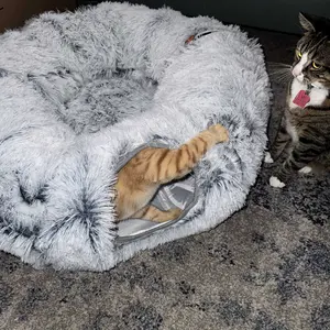 Product Review of Winter Warm Pet Bed, 2 in 1 Foldable Cat Tunnel Cat Bed, Warm Plush Cat Bed with Hanging Ball & Tunnel Buckle, Pet Supplies for Indoor Outdoor Use from c**e