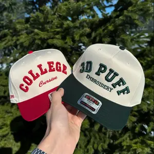 Custom 3D Puff Hat 3D Puff Embroidery Text Hat Two tone Baseball Hat Gift