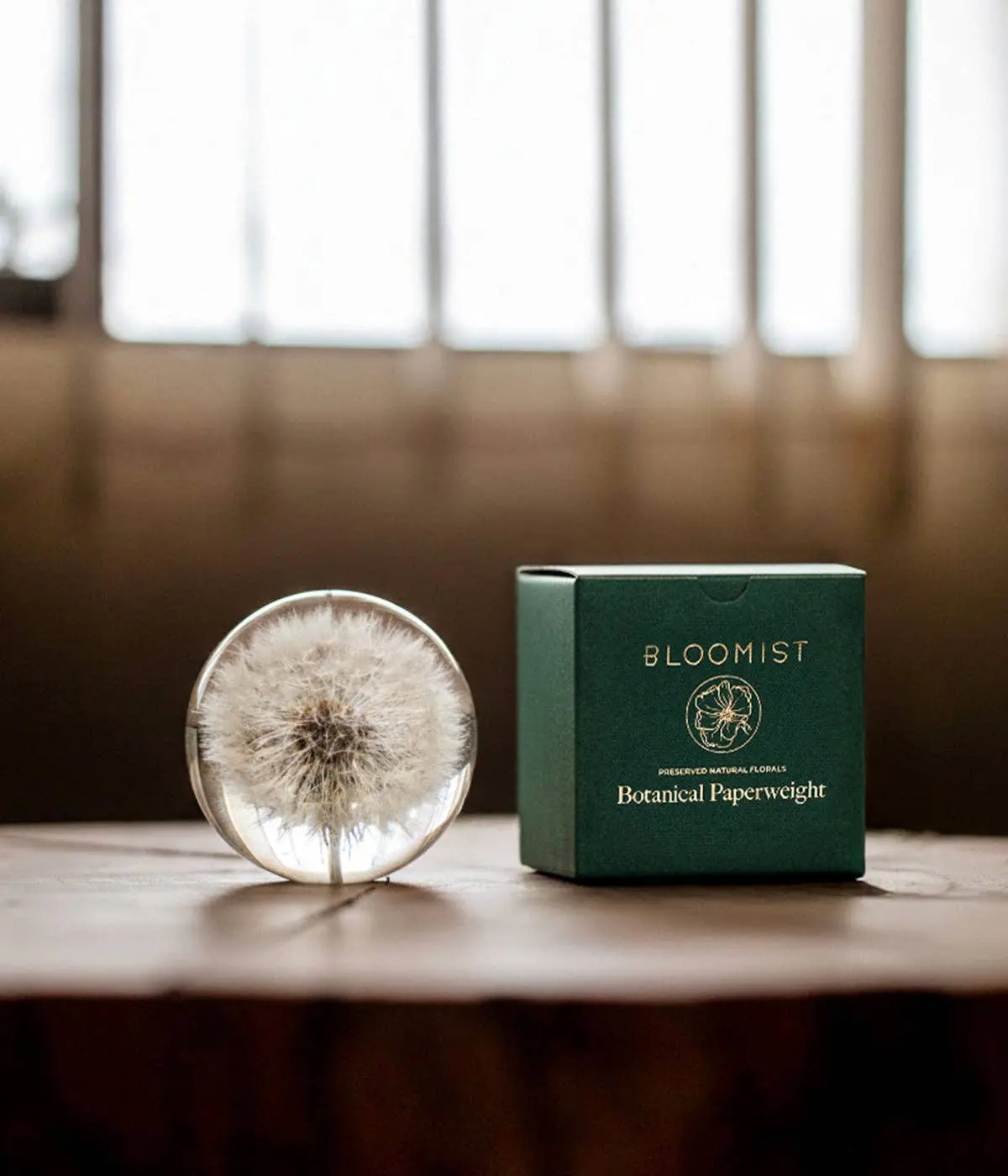 Dandelion Botanical Resin Paperweight BLOOMIST