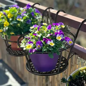 Iron Art Hanging Flower Pot with Hanging Hook, Detachable Hanging Planting Basket, Garden Pot & Planter for Balcony, Fence & Single Brick Wall