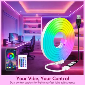 Flexible RGB LED Neon Light Strip, 5m, Remote Control, Multi-Mode, Game Light Strip, Bedroom Decoration, Multiple Colors, LED Strips