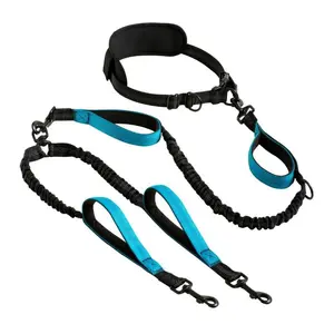 Braid Double Dog Leash with Detachable Collars & Leads for Medium-Large Breeds - Tear Resistant, Non-Slip Foam Padded Handles, Shock-Absorbing Bungees, Reflective Stitches, 360° Swivel Clasps, Hands-Free No-Pull Control for Outdoor Jogging